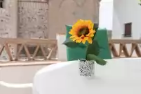 Location de vacances à El porton