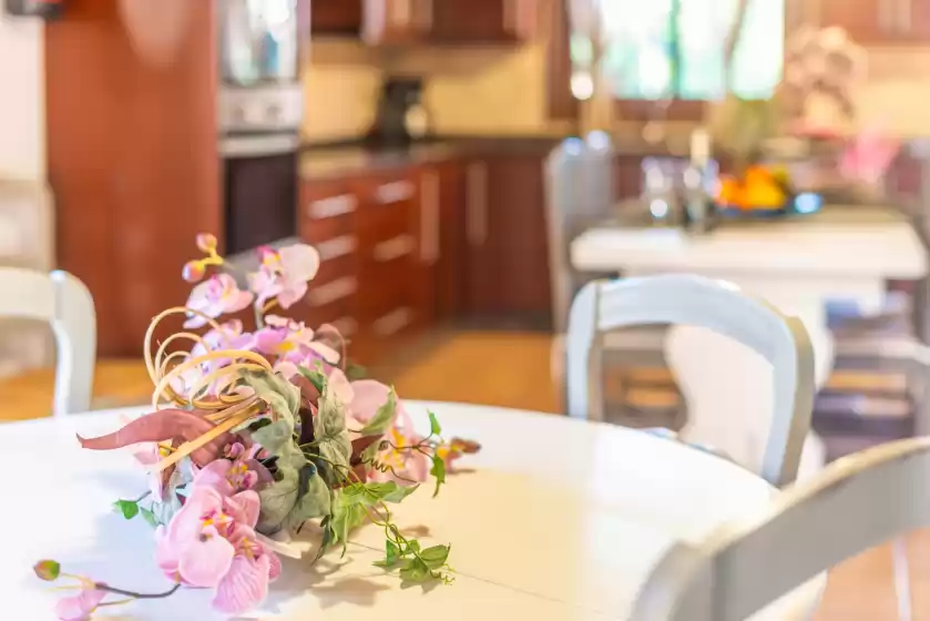 Ferienhaus auf Can antich, Lloseta