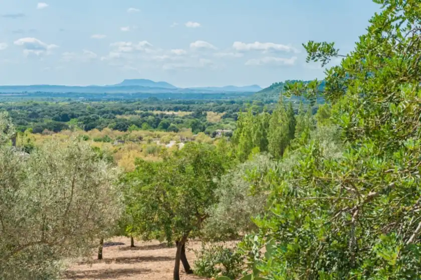 Alquiler vacacional en Sa sini, Búger