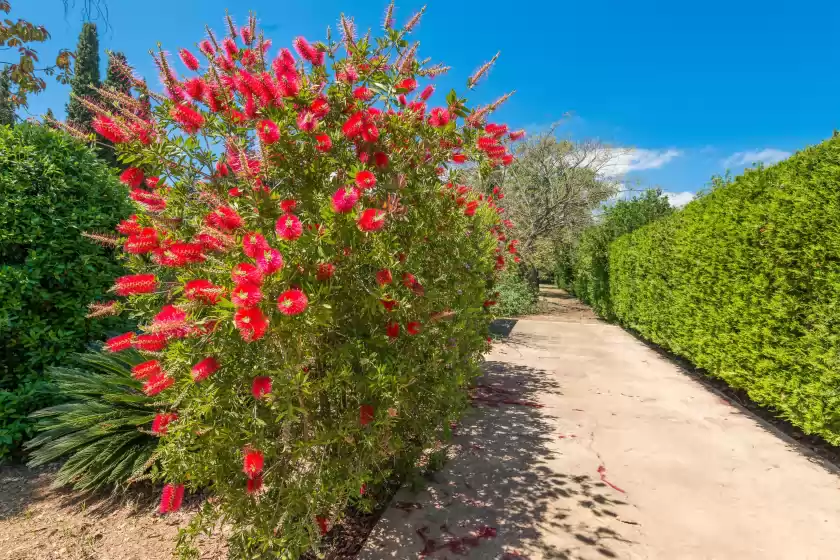 Location de vacances à Ca na sioneta, Campanet