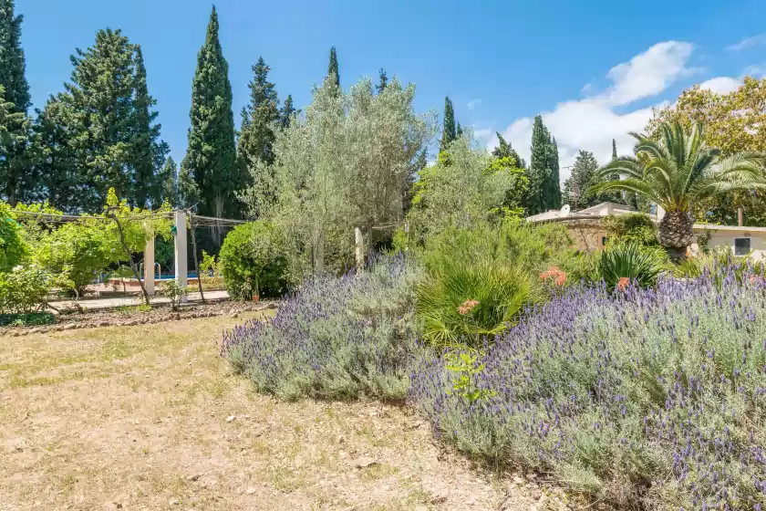 Location de vacances à Ca na sioneta, Campanet