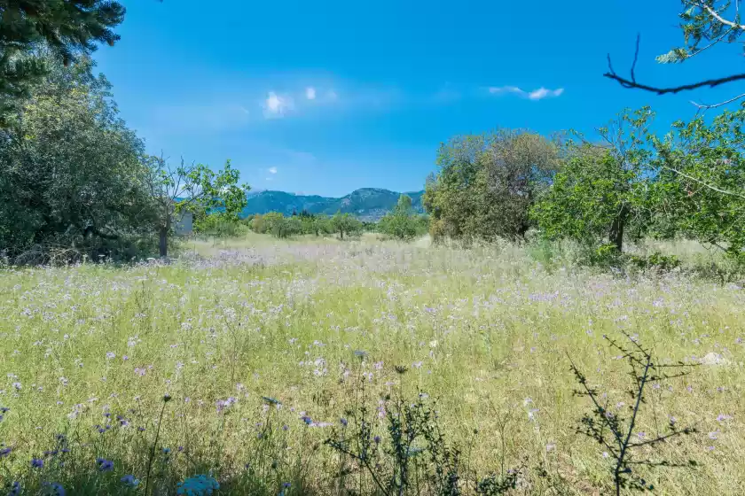 Location de vacances à Ca na sioneta, Campanet