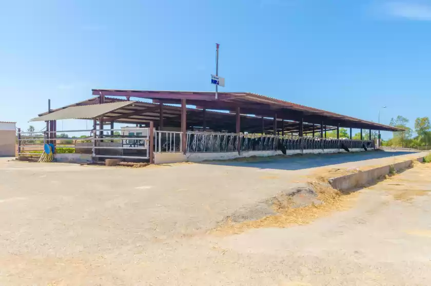 Ferienhaus auf Sa caseta de ses vaques.son covas, Campos