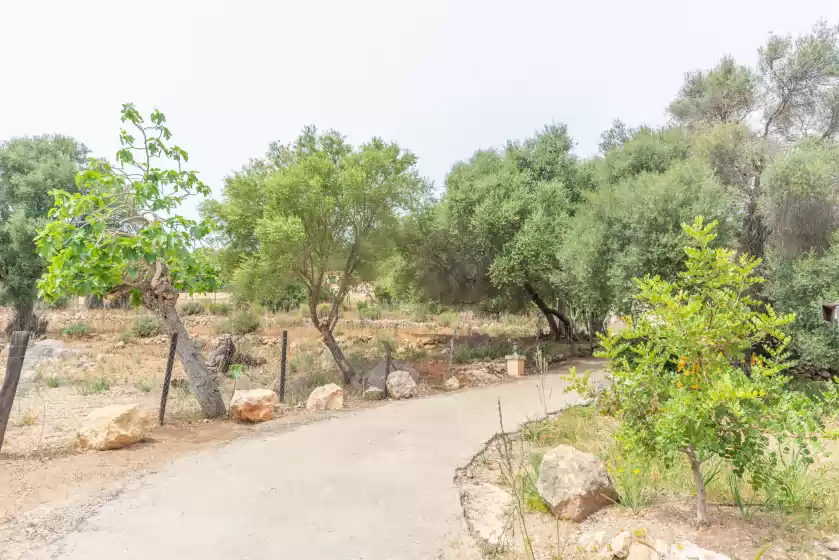 Ferienhaus auf Son orlandis, Port d'Andratx