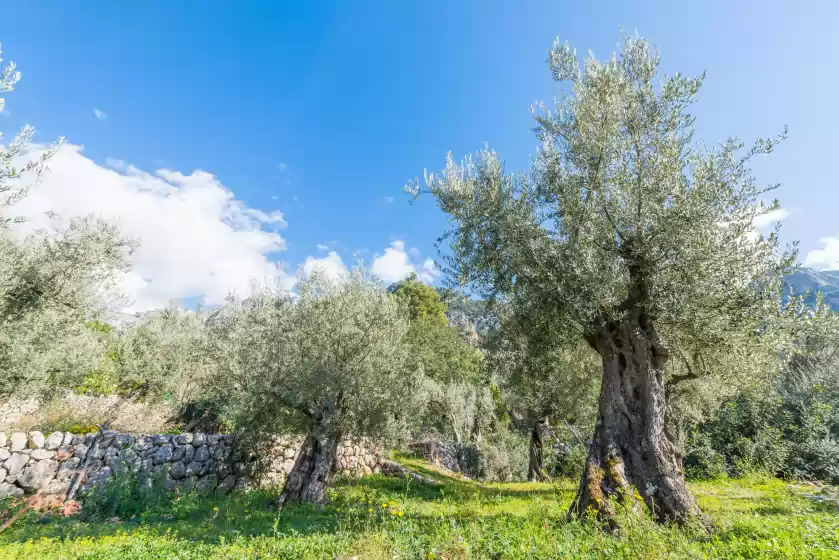 Holiday rentals in S'olivaret, Fornalutx