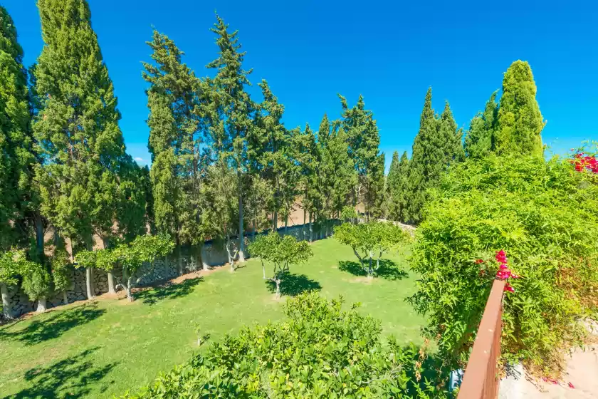 Ferienhaus auf Sa vinya des compte, Maria de la Salut