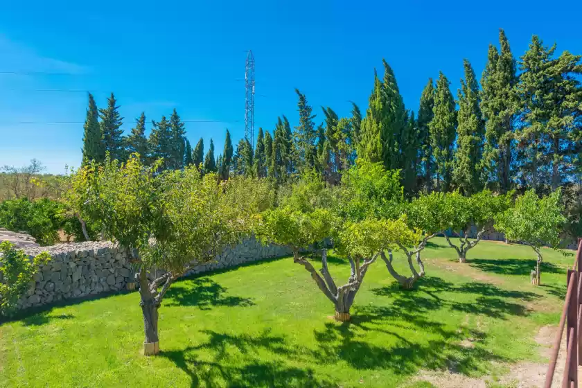 Ferienhaus auf Sa vinya des compte, Maria de la Salut