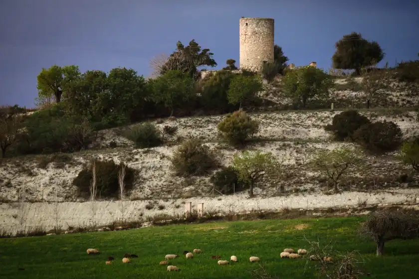 Alquiler vacacional en Sort nova, Montuïri