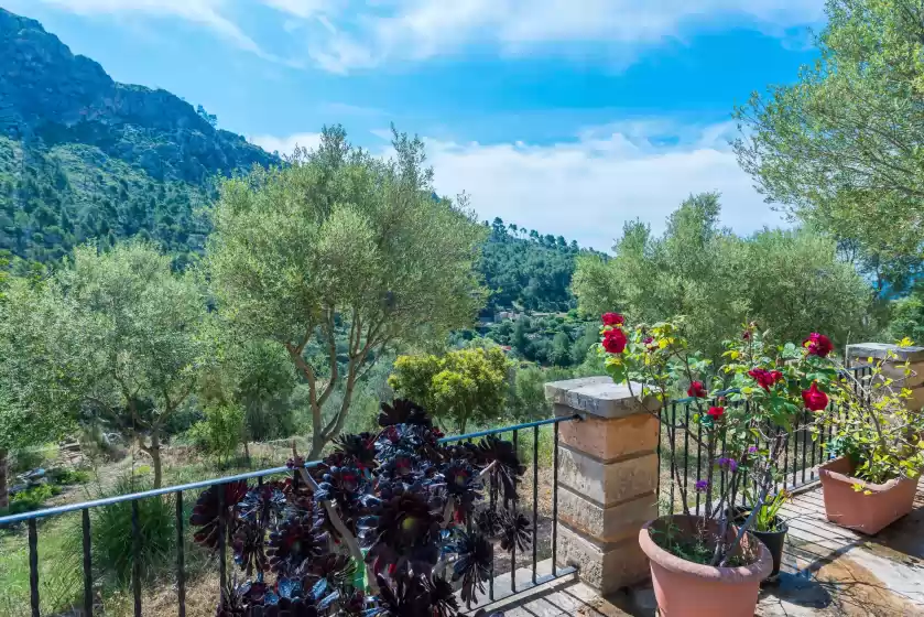 Holiday rentals in Sa tarongera, Andratx