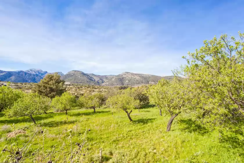 Location de vacances à S'alqueria, Campanet