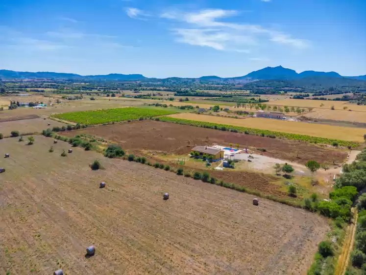 Holiday rentals in Son fred, Felanitx