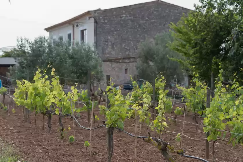 Ferienhaus auf Sa vinyota, Llubí