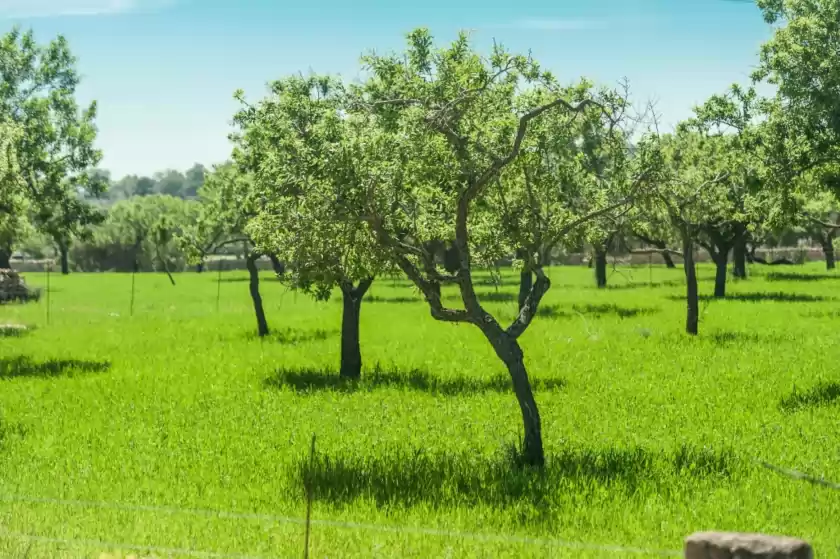 Location de vacances à Can cabrit, Alaró