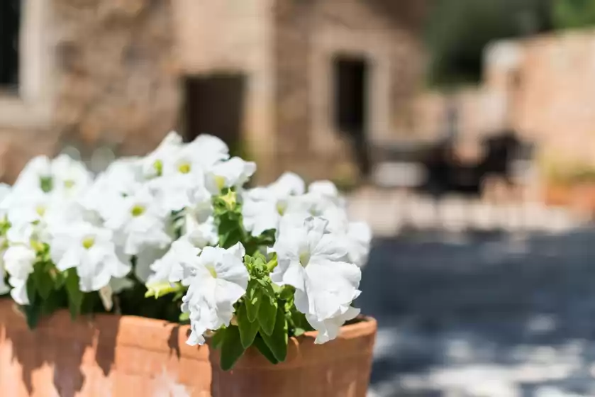 Location de vacances à Es pinar, Alaró