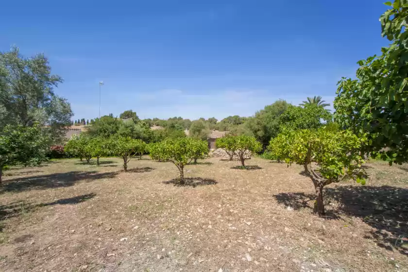 Location de vacances à Son gorrió, Sant Llorenç des Cardassar