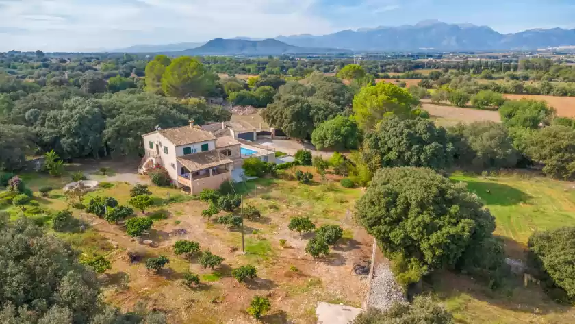 Alquiler vacacional en Ca na flores, Llubí