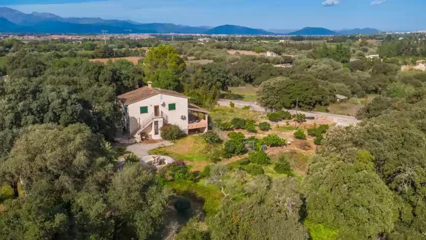 Alquiler vacacional en Ca na flores, Llubí