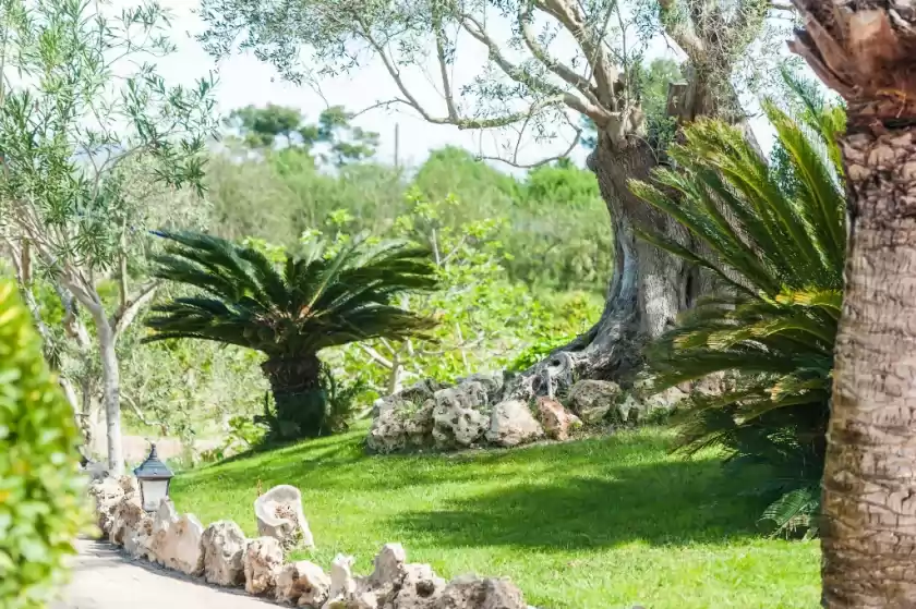 Location de vacances à Vila, Santa Margalida