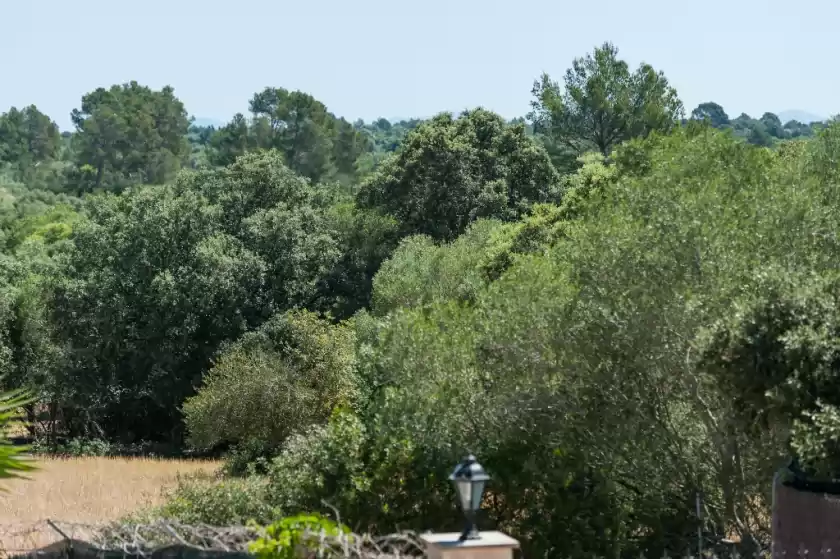 Ferienhaus auf Conchita, Sencelles