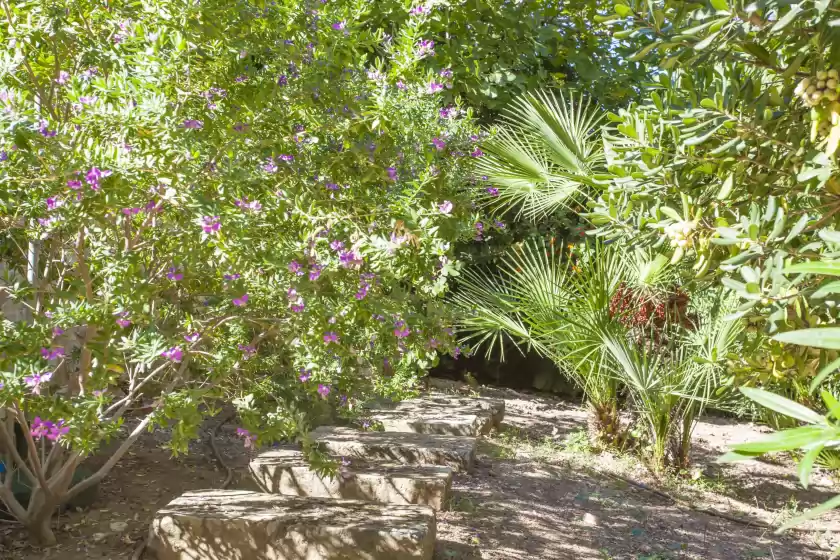 Holiday rentals in Villa cala padri, Font de sa Cala