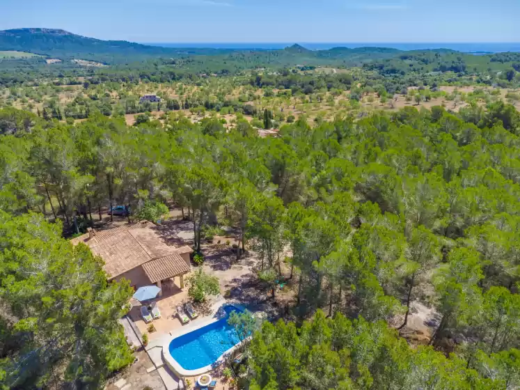 Holiday rentals in Casa mas, Felanitx