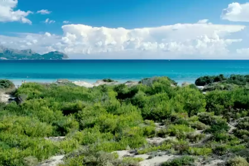 Holiday rentals in Curling, Port d'Alcúdia