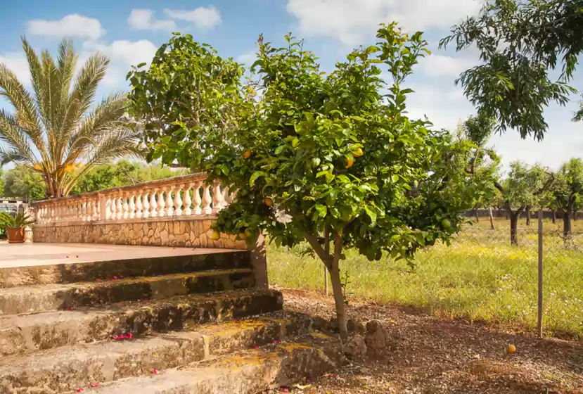 Holiday rentals in Son morro, Santa Margalida