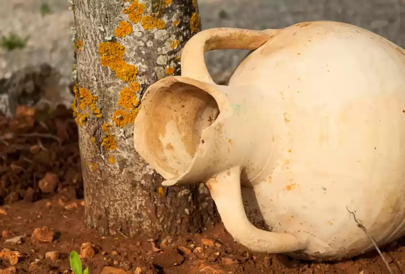 Holiday rentals in Son morro, Santa Margalida