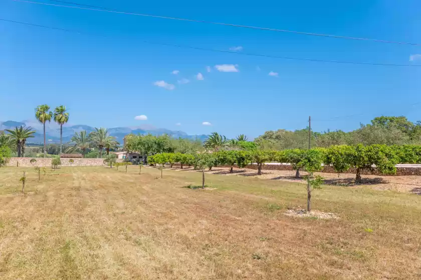 Alquiler vacacional en Son real, Sencelles