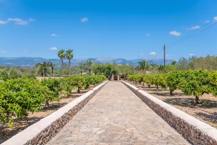 Alquiler vacacional en Son real, Sencelles