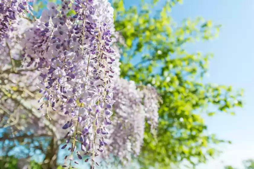 Ferienhaus auf Sa conca, Porto Cristo