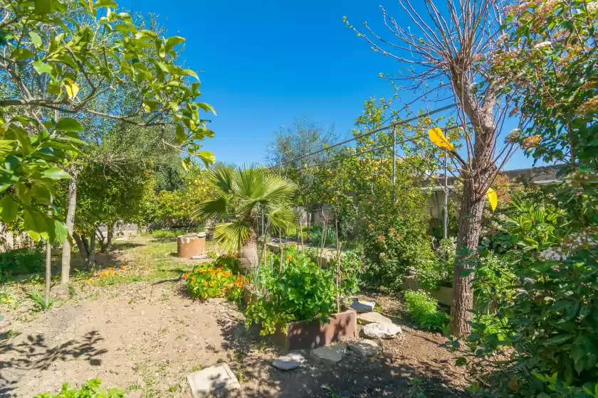 Location de vacances à Construcciones balaguer, Mancor de la Vall