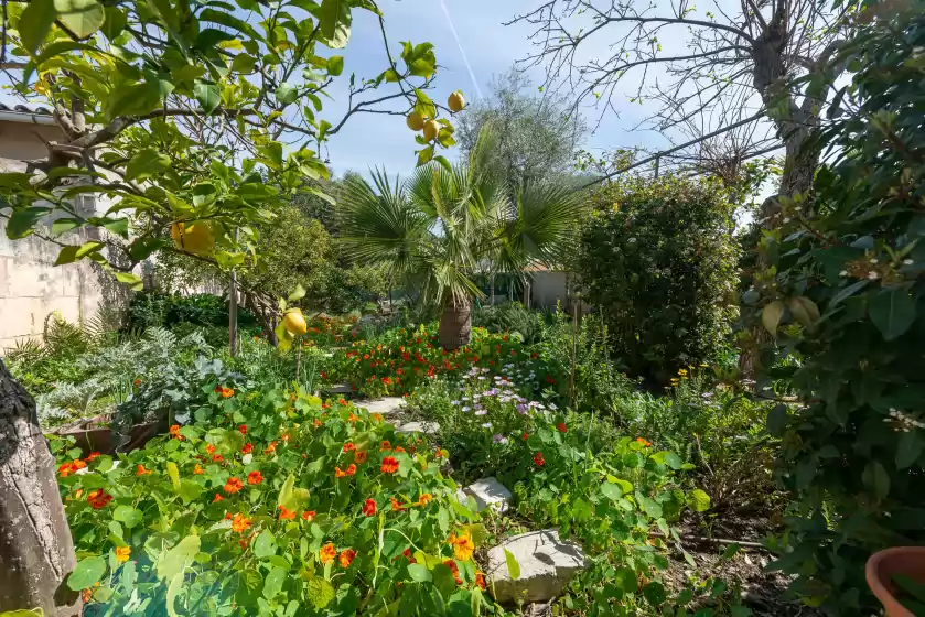 Location de vacances à Construcciones balaguer, Mancor de la Vall