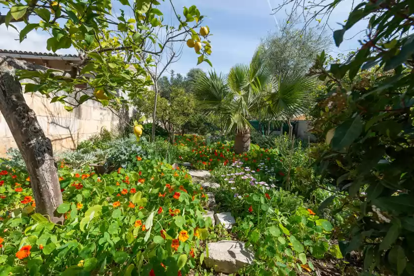 Location de vacances à Construcciones balaguer, Mancor de la Vall