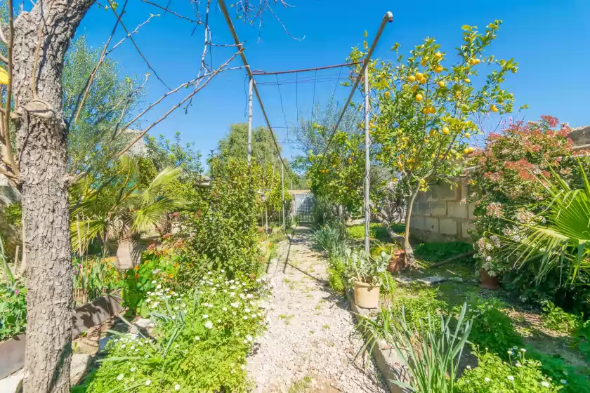 Location de vacances à Construcciones balaguer, Mancor de la Vall