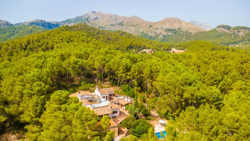 Holiday rentals in Can pere vell, Andratx