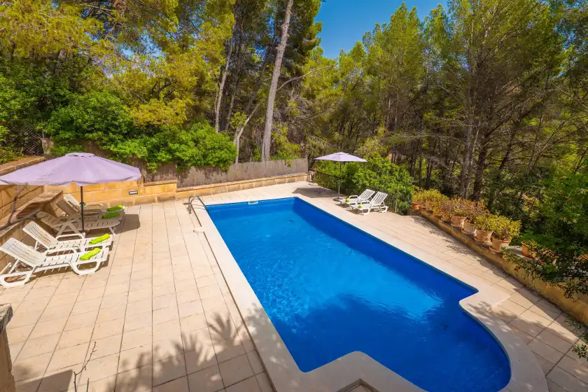 Holiday rentals in Can pere vell, Andratx