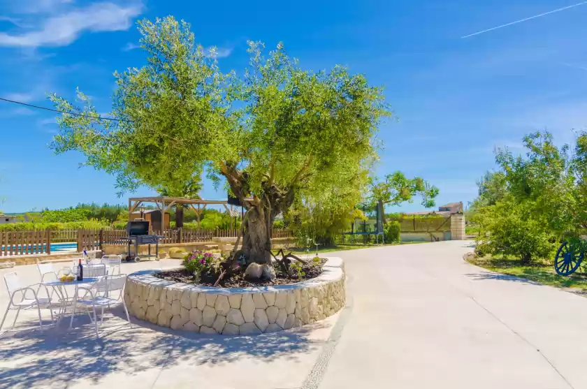 Location de vacances à Son vanrell, Montuïri