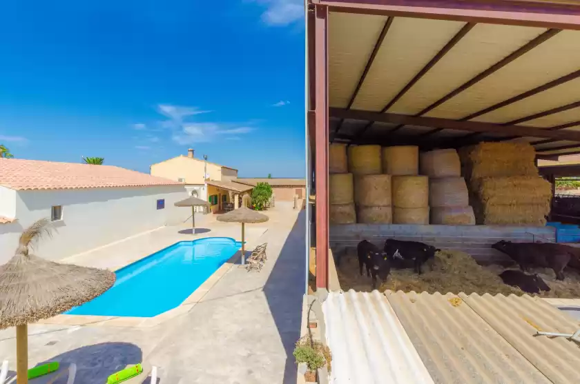 Location de vacances à Sa caseta de ses vaques.son covas (sa vaqueria 2)