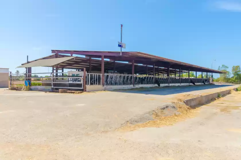 Location de vacances à Sa caseta de ses vaques.son covas (sa vaqueria 2), Campos