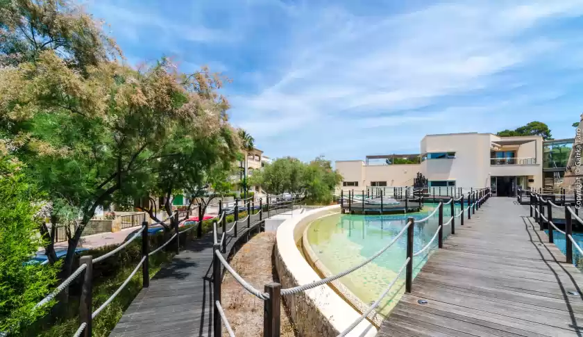 Location de vacances à Sa caseta de ses vaques.son covas (sa vaqueria 2), Campos