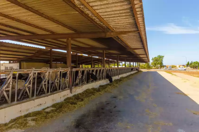 Location de vacances à Sa caseta de ses vaques.son covas (sa vaqueria 2), Campos