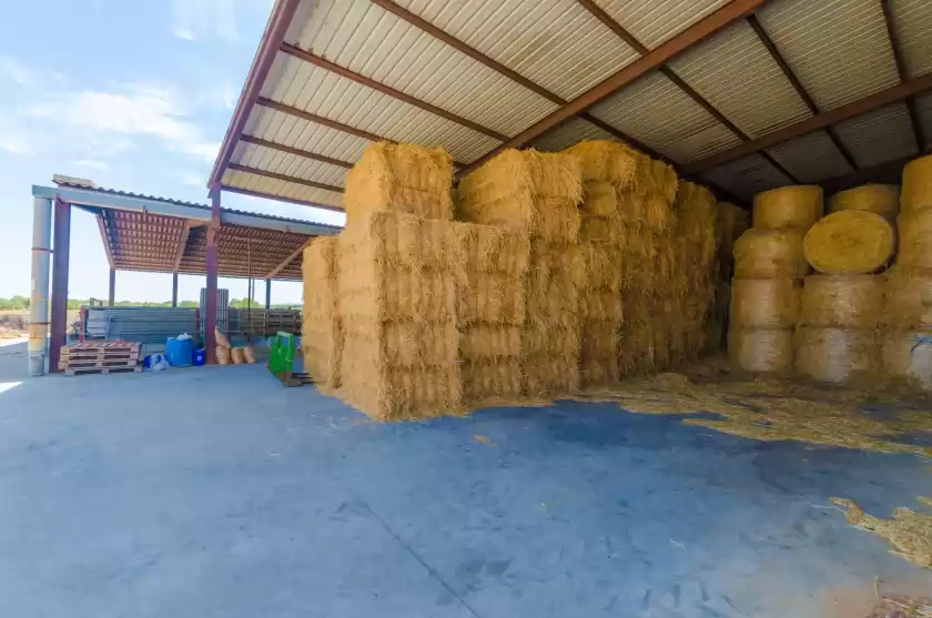 Location de vacances à Sa caseta de ses vaques.son covas (sa vaqueria 2), Campos