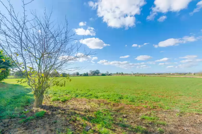 Holiday rentals in Na pont, Campos
