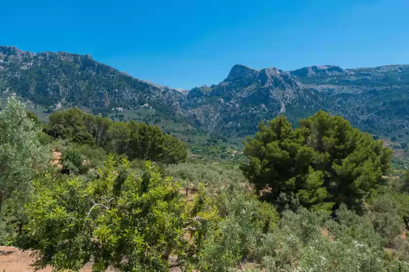 Location de vacances à Son bou, Sóller