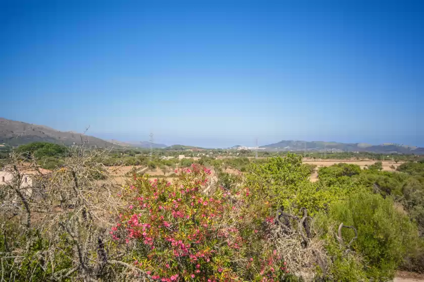 Ferienhaus auf Sa corbaia nova , Artà