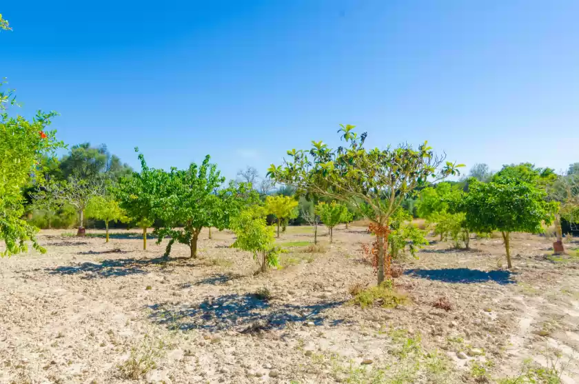 Location de vacances à S'aresta den rumbet, Llucmajor