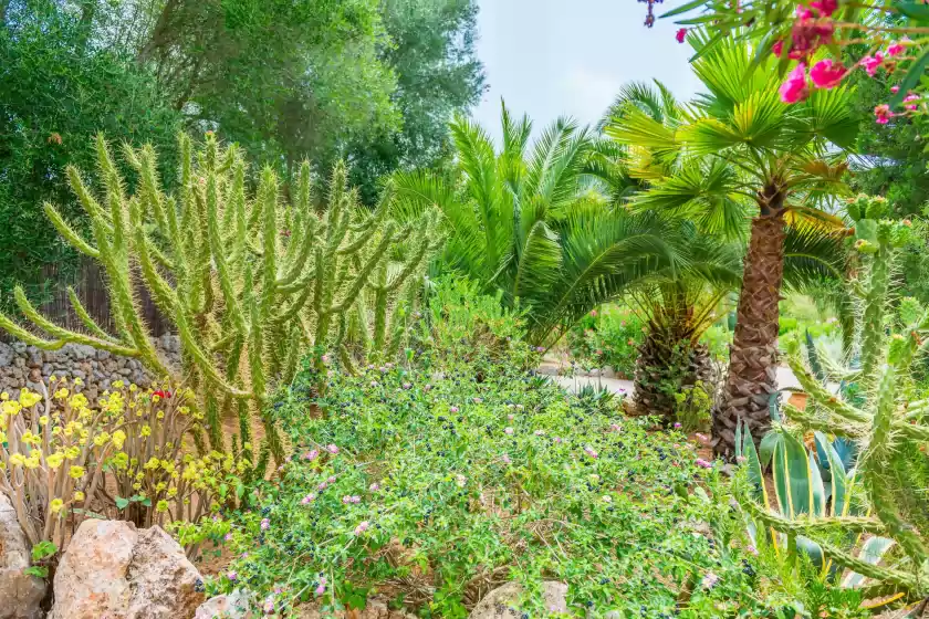 Holiday rentals in Can pina - eco pina -, Costitx