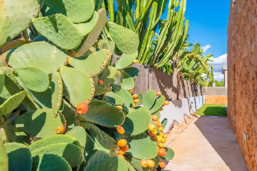 Ferienhaus auf Can bosquerró, sa Ràpita
