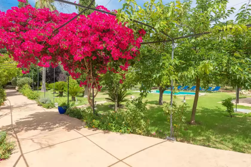 Holiday rentals in Can massana, Sóller